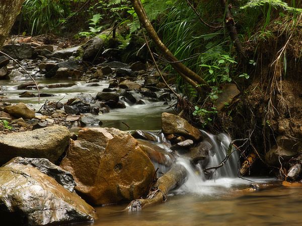 Nowosiółki - Potoczek