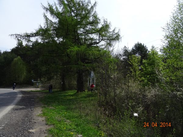 w sąsiedztwie widocznego po prawej przystanku, za zatoczką, proponuję zatrzymać się by "zerknąć" w dół kotliny, matni - jakby, a latem ostrożnie tam - drogą w d