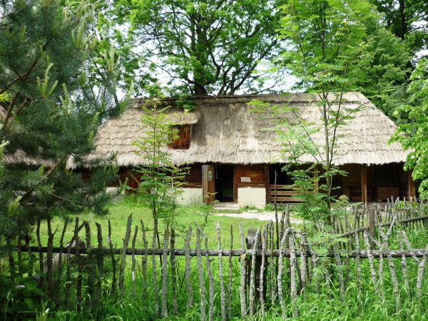 Stara , zabytkowa zagroda chłopska z XIX wieku , we wsi Guciów na Lubelszczyźnie. Obecnie muzeum wsi.