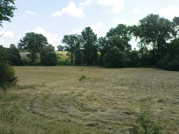 Pobliska łąka w oddali zobaczyć można ruiny obory na byłym placu PGR-u.