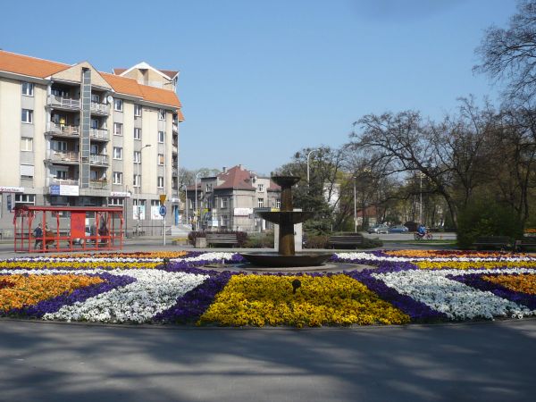 zdjecie Ostrów Wielkopolski