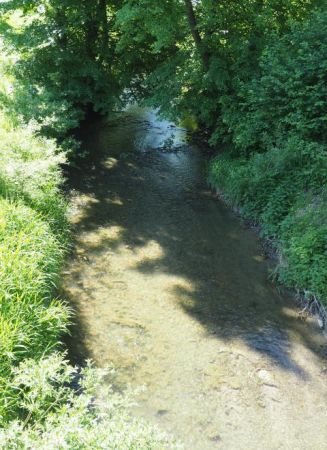 rzeka Pielnica - źródła ma w siodle zbocza nad Wolą Sękową i płynie przez tą wieś, dalej przez Nadolany i Pielnię - zapraszam do galerii tych miejscowości, tu m