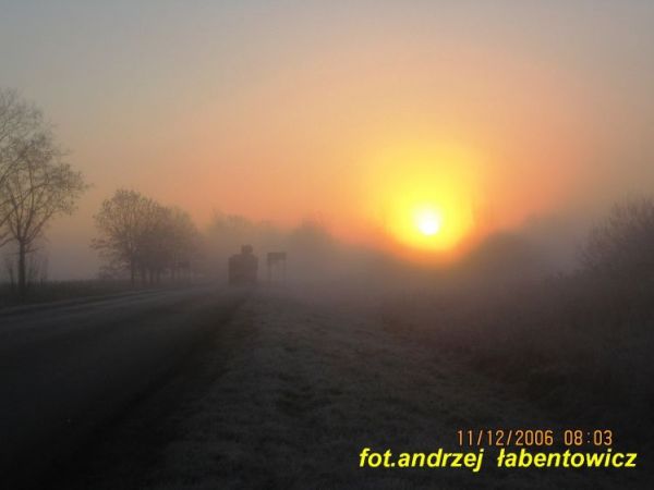 PORANNE  SŁOŃCE  PRZEBIJA  SIĘ  PRZEZ  GĘSTĄ  MGŁĘ