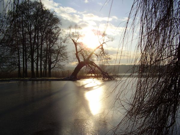 Widok na półwysep. j. Trzesiecko