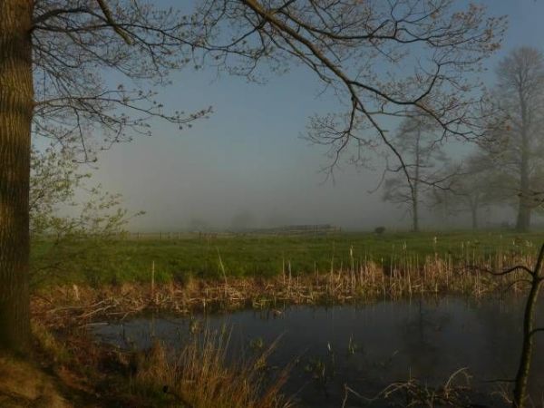 zdjecie Jelenia Góra