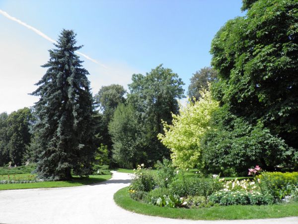 Zamek - Muzeum w Łańcucie. Park - fragment