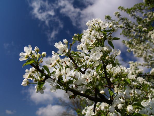 zdjecie Tyniewicze Duże