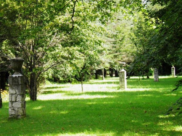 Park wokół pałacu Ponińskich - fragment.