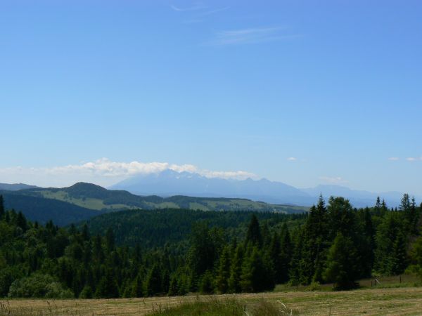 Wysokie Tatry z Obidzy