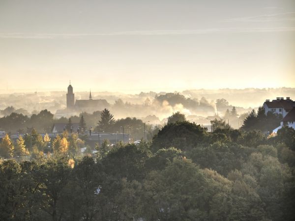 zdjecie Wodzisław Śląski