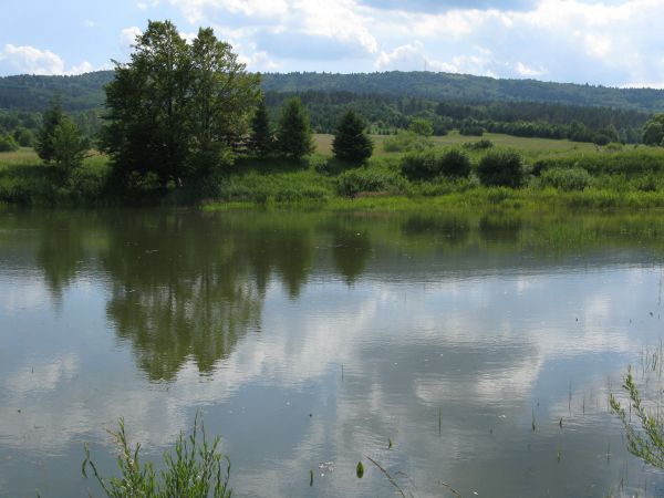 stawy - zarybione, własność prywatna.