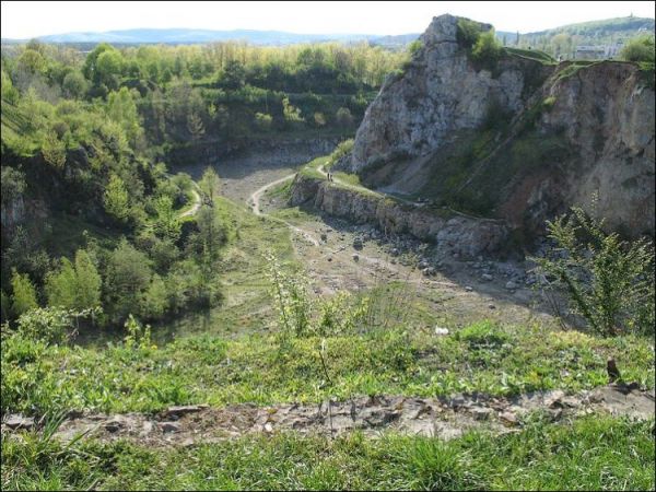 Rezerwat Kadzielnia ze Skałką Geologów, zbudowaną z wapieni koralowych z dużą ilością skamieniałości koralowców i innych zwierząt morskich żyjących przed 350 mi