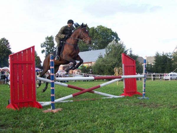 II Gminne Zawody Jeżdzieckie im. Ks. Tischnera -Rogoźnik 24.08.2008 r.
