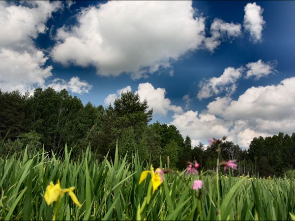 zdjecie Tyniewicze Duże