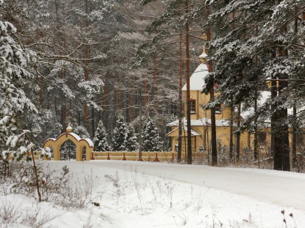 cerkiew w zimowej osnowie -Tyniewicze Duże