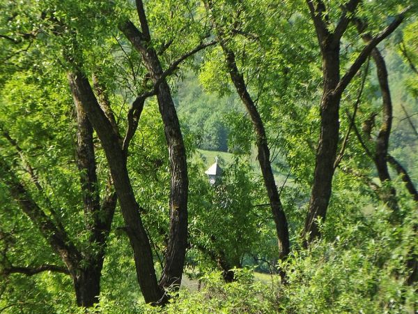 za rzeką San już m. Temeszów, warto nadmienić że w tamtejszych lasach bliżej  Sanu były niedawno widziane żbiki, tam Pogórze Dynowskie - idziemy z Jabłonicy Rus