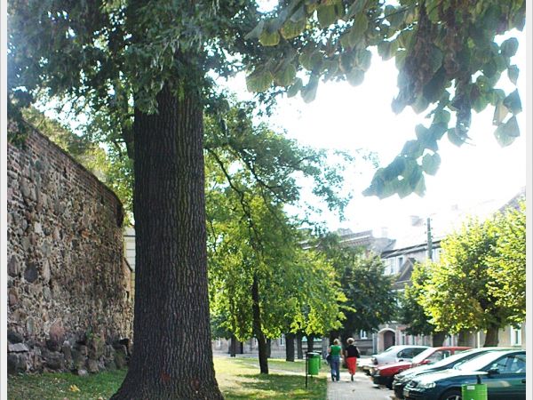 zdjecie Sulechów