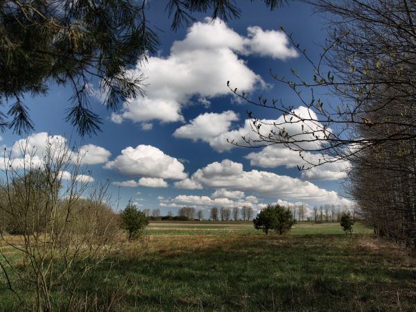 zdjecie Tyniewicze Duże