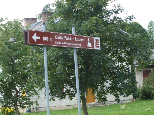 Królik Polski