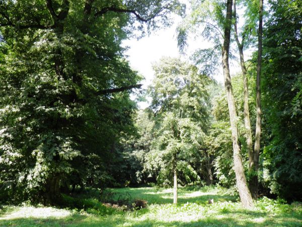 Park wokół Pałacu w Wysocku k. Jarosławia . W XVII wieku należał do Królowej Marysieńki Sobieskiej. Obecnie Dom Pomocy Społecznej.