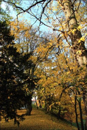 Klasztor i park  ss. Niepokalanek na Głębokiej.