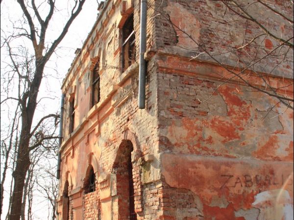 Pałacyk z początku XIX wieku  projektu architekta Chrystiana Piotra Aignera. Należał do Terleckich a następnie do Drohojowskich . Wokół niego duży , zdziczały p