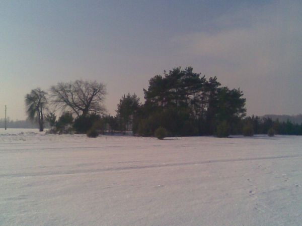 Teraz na zdjęciu widnieje cmentarz zmarłych Niemców jeszcze za czasów kiedy to Brzozówka należała pod zabór pruski. Grobowce dawno już zarosły trawą i chwastami