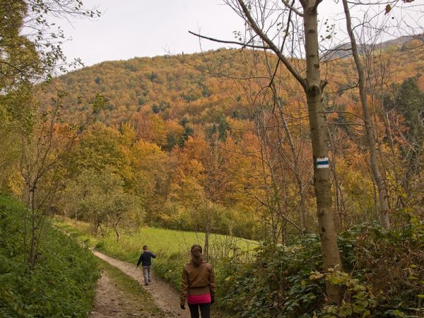 Na szlaku-Rytro/Życzanów