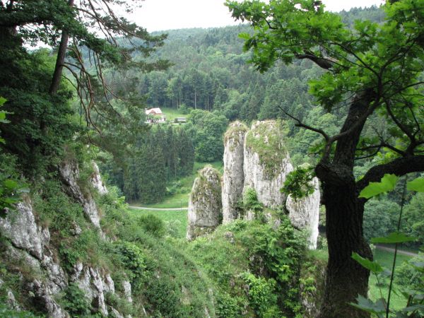 Widok z jaskini ciemnej w ojcowie