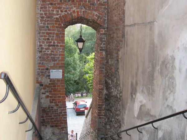 Ucho igielne- 07.2012