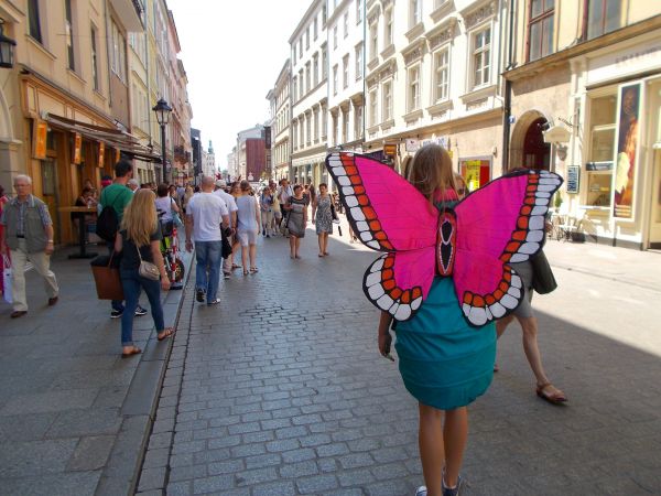 A kto widział motyla o wadze 50kg ?