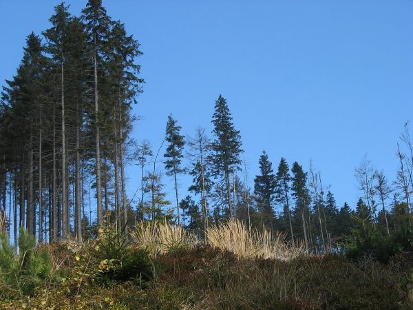 Szczyrk -Biały Krzyż