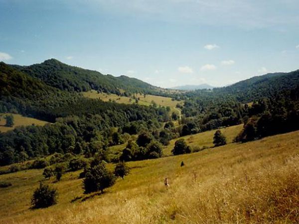 Sierpień 1999   Połonina Cyrańska