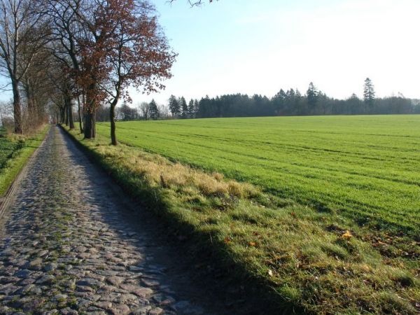Droga z Wieszyna do nieistniejącego już dziś Wieszynka