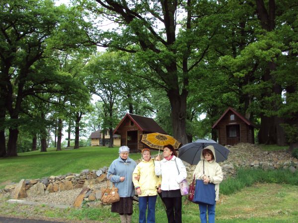 Resztki parku dworskiego, krajobrazowego, założonego w  XIX w. przy zburzonym dworze Dydyńskich. Zachowana aleja lipowo-kasztanowa i starodrzew: dęby i kasztany