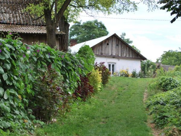 zdjecie Stare Kaliszany