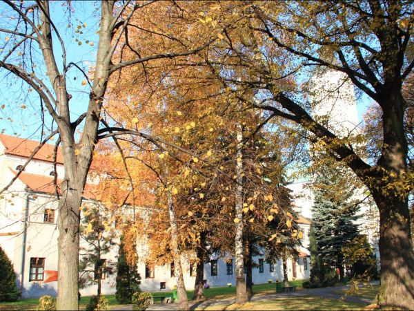 Kościół pw. św. Mikołaja i Stanisława biskupa w Jarosławiu przy ulicy Benedyktyńskiej. Przez starszych mieszkańców zwany Anna Kasarnia, został zbudowany w latac