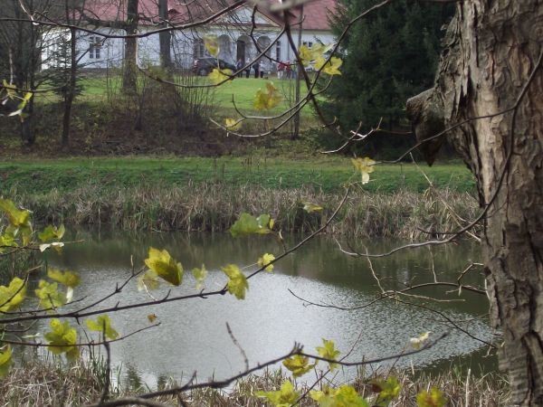 dwór i XVIII wieczny park ze stawami, park podworski należy do najpiękniejszych w gminie Dydnia, są tu lipy szerokolistne, dęby szypułkowe, jawory, klony polne