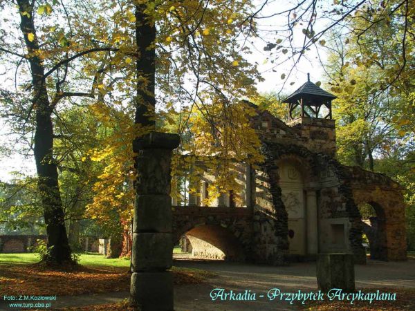 zdjecie Arkadia