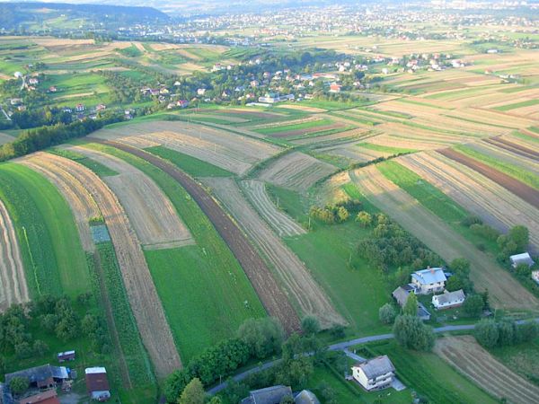 W dali Niskowa.2008 r.