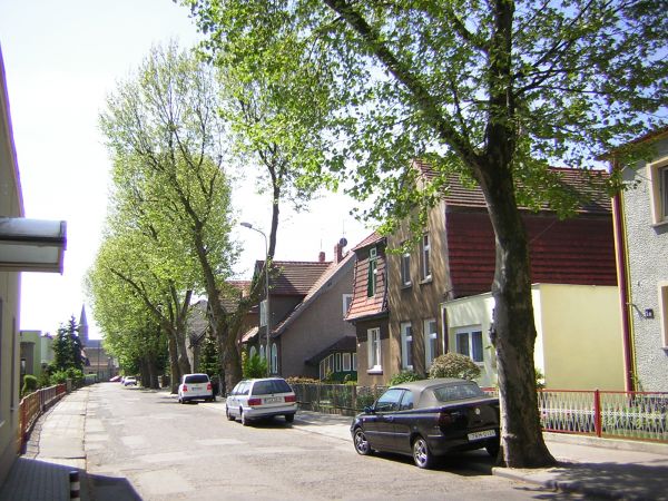 zdjecie Sulechów