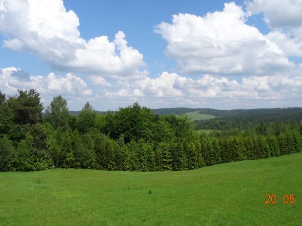 tam, tam het pod lasem : jakby polana, co w las się wcina - to już Beskid Leski i szybowisko w Bezmiechowej  /do osobnej galerii - zapraszam pt.Bezmiechowa Górn