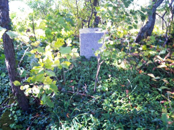 Kiedy nasze groby nabiorą takiego uroku.
Zdewastowany Cmentarz Ewangelicki.
Kto nie szanuje miejsc pamięci, nie wart pamięci.