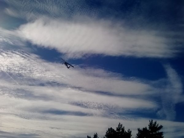 Wilga nad  Górą Szybowcową (561 m n.p.m.) (Jeżów Sudecki)