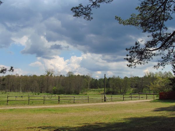 Wybieg dla koni w czasie wakacji