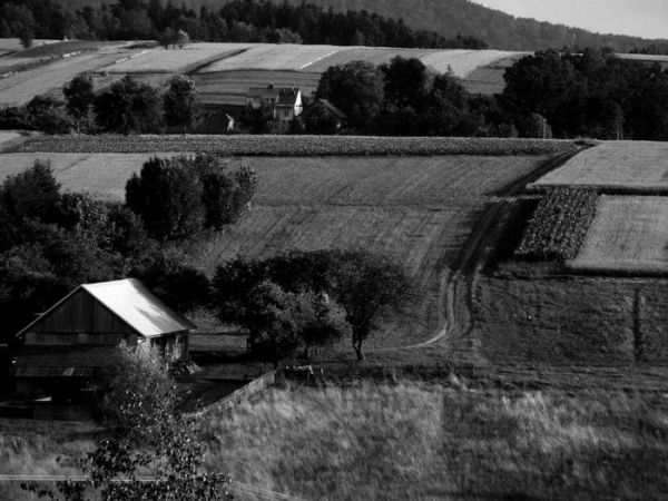 Strzyżowskie krajobrazy.