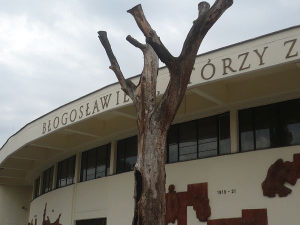 Dookoła Sanktuarium  ciekawe  płaskorzeźby i wypalony dąb  w  którym  jest  kapliczka.