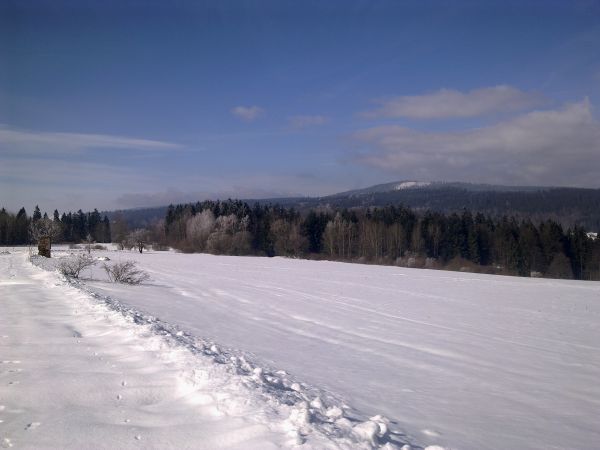 Różanka - żółtym szlakiem na Bochniak (713 m n.p.m.)