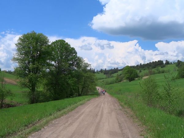 tłumaczyć by wiele, pisać też sporo - ale po co ? jak wszystko jak na tacy  /z pałacowej zastawy !/. Szmaragdowa zieleń - czy gdzieś jeszcze jest tak soczysta ?