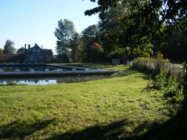 zdjecie Stare Kurowo